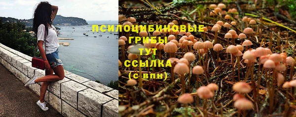 героин Ельня