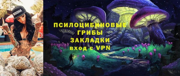 героин Ельня