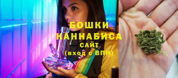МДПВ Елабуга