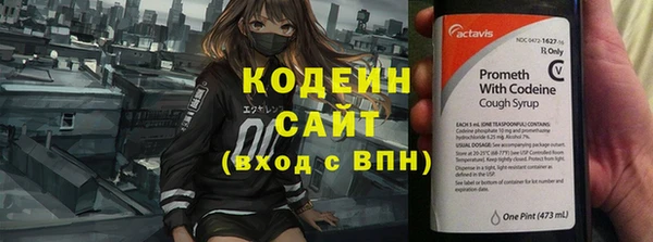 МДПВ Елабуга