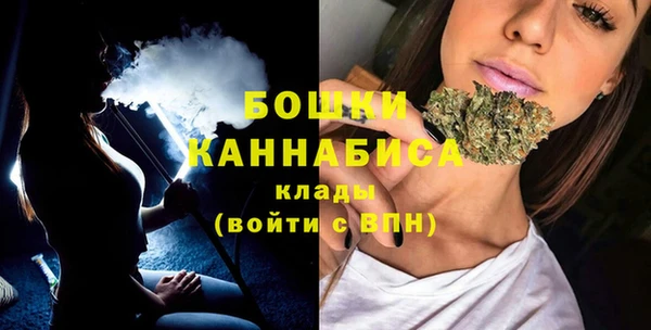 МДПВ Елабуга